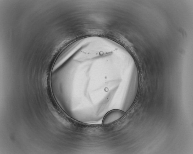 X0000112080106200908251114