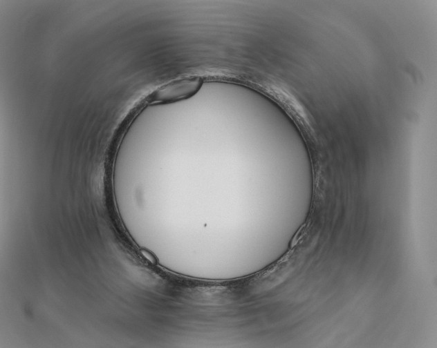 X0000112080108200908251114