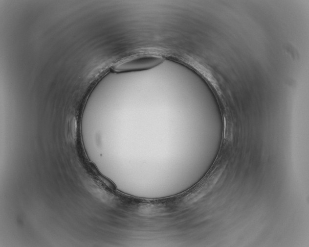 X0000112080109200908251114
