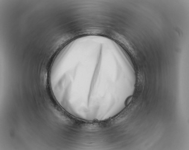 X0000112080110200908251114