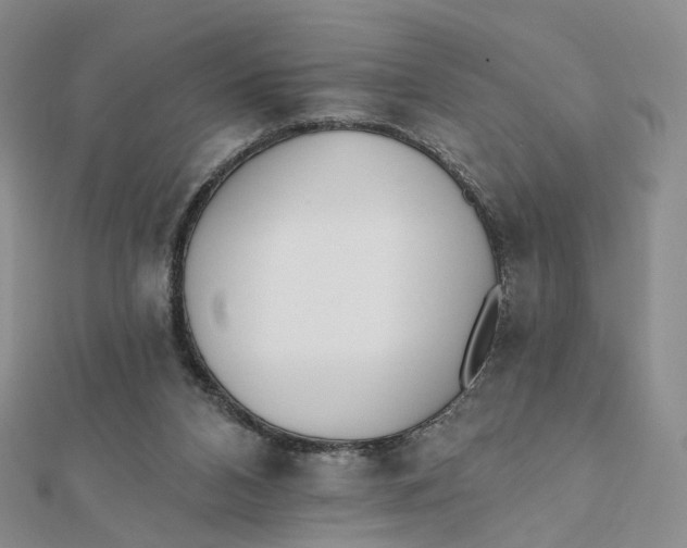 X0000112080112200908251114