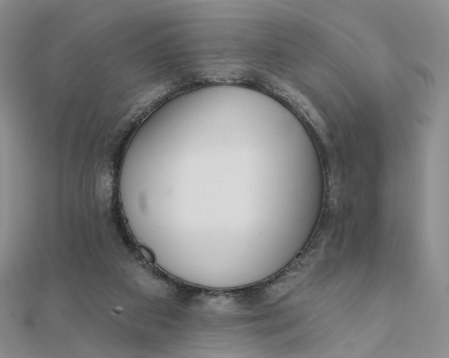 X0000112080113200908251114
