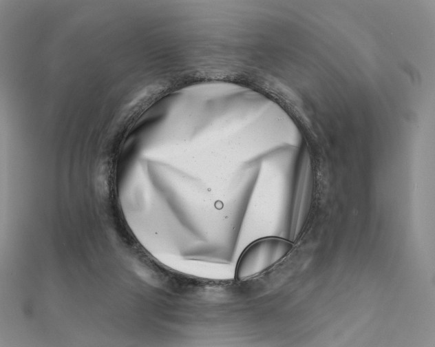 X0000112080114200908251114