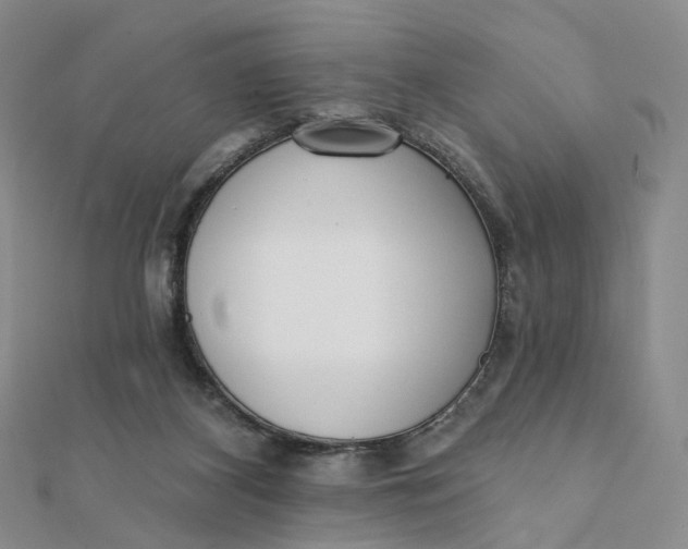 X0000112080116200908251114
