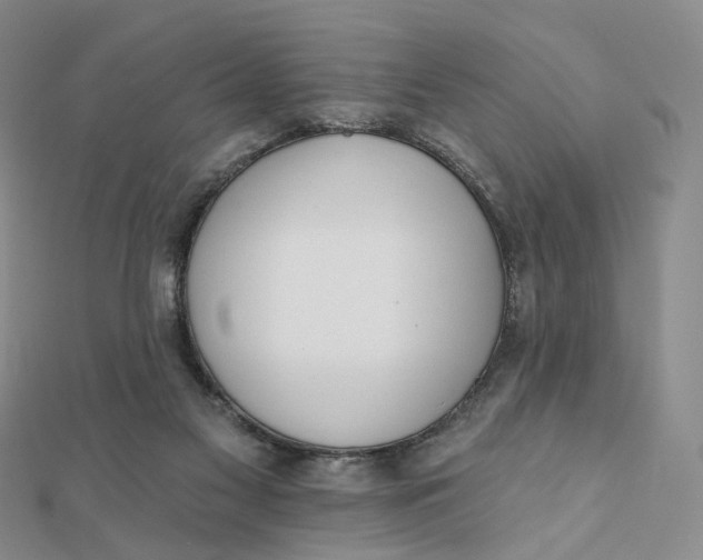 X0000112080117200908251114