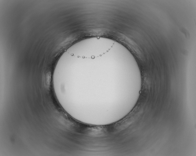 X0000112080118200908251114