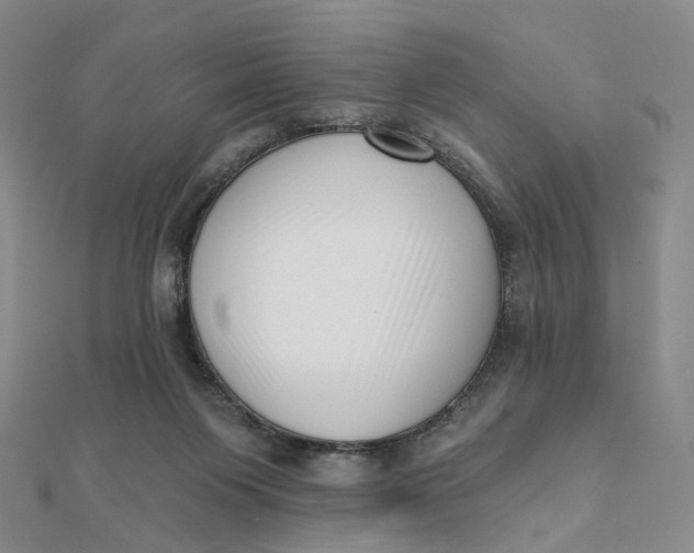 X0000112080119200908251114