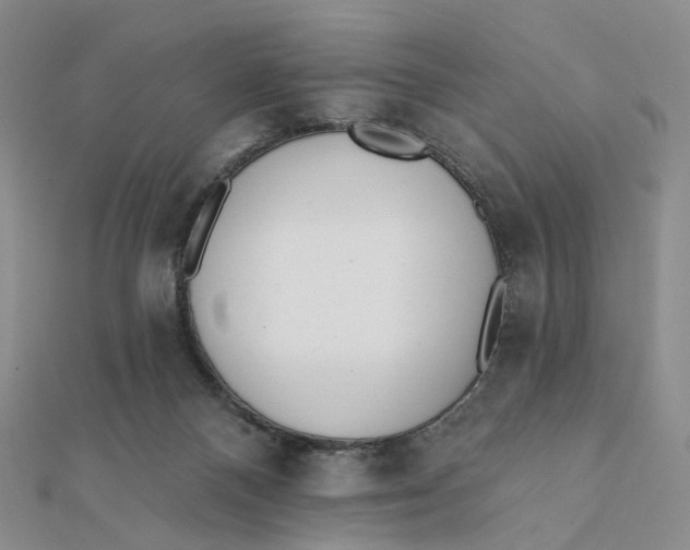 X0000112080120200908251114