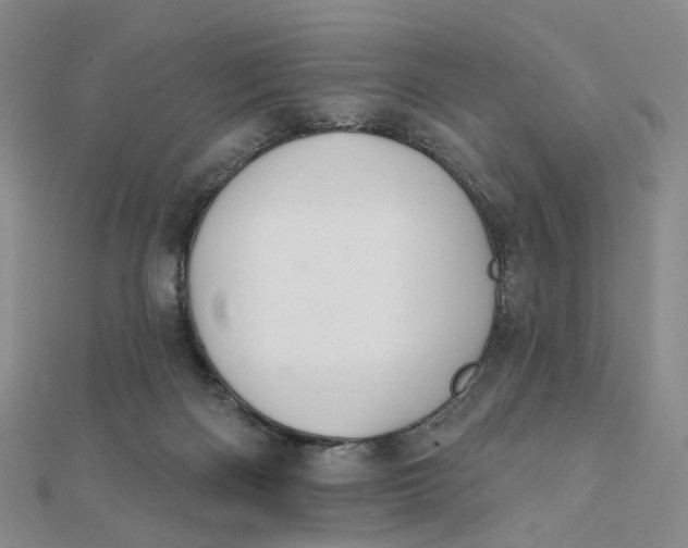 X0000112080122200908251114
