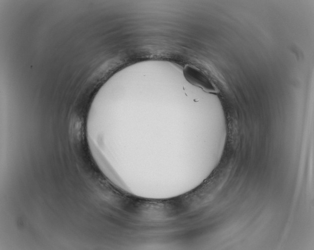 X0000112080123200908251114