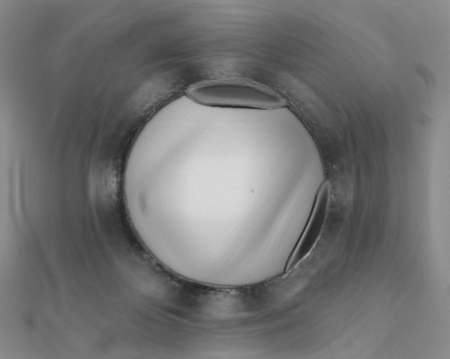 X0000112080124200908251114