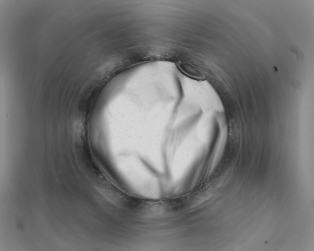 X0000112080127200908251113