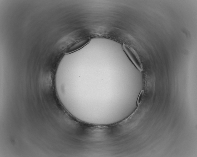 X0000112080128200908251113