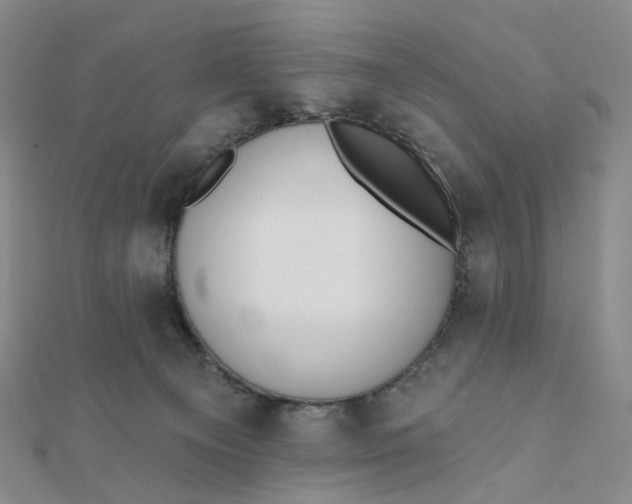 X0000112080129200908251113