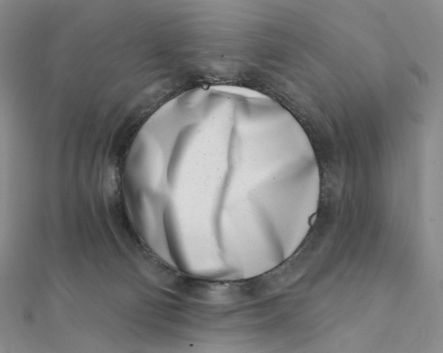 X0000112080130200908251113