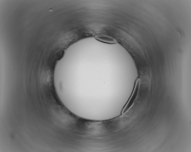 X0000112080132200908251113