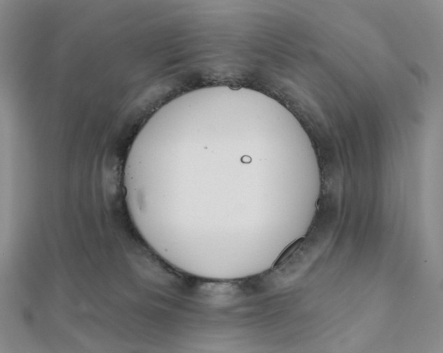 X0000112080133200908251113