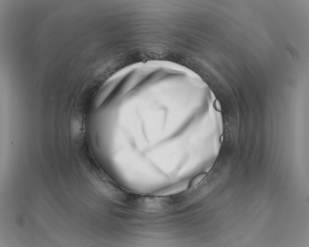 X0000112080134200908251113
