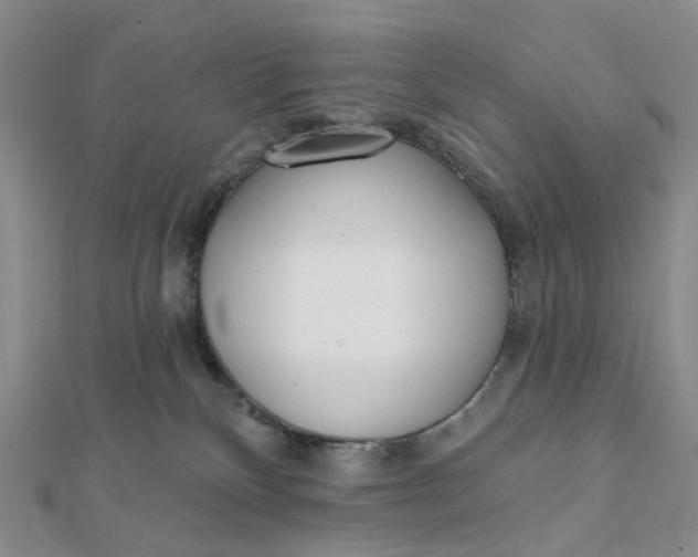 X0000112080136200908251113