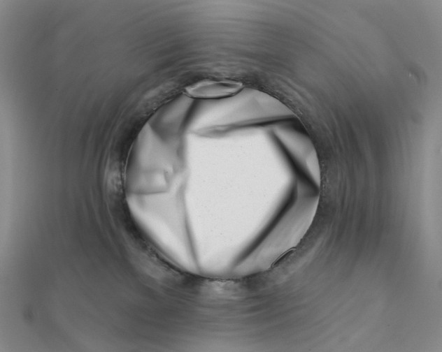 X0000112080137200908251113