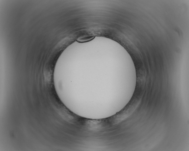X0000112080139200908251113