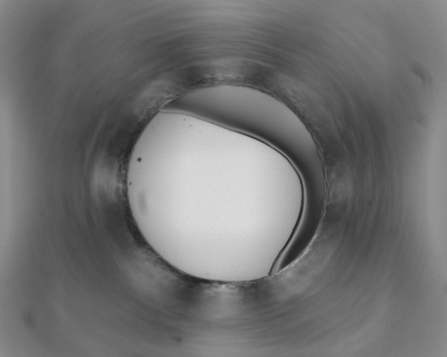 X0000112080140200908251113