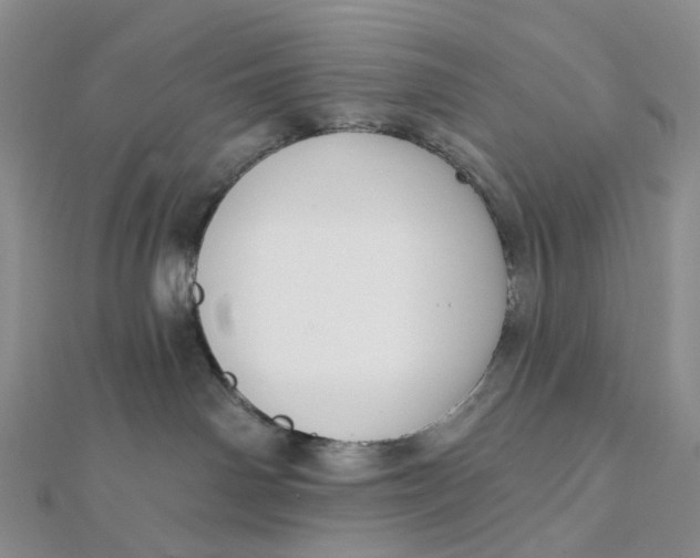 X0000112080142200908251113