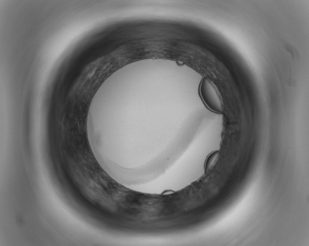 X0000112080143200908251113