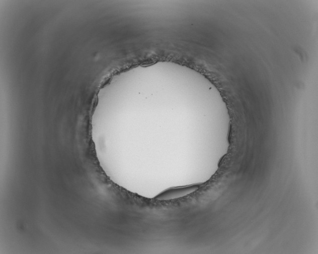 X0000112080144200908251113