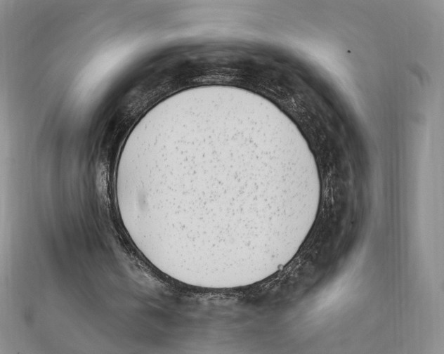 X0000112080146200908251112