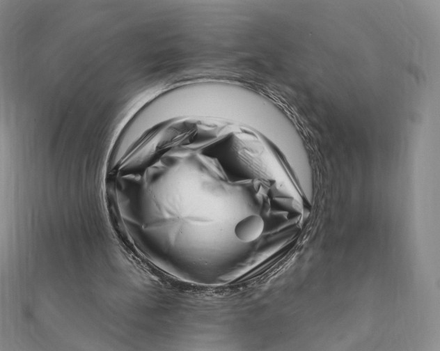 X0000112080148200908251113