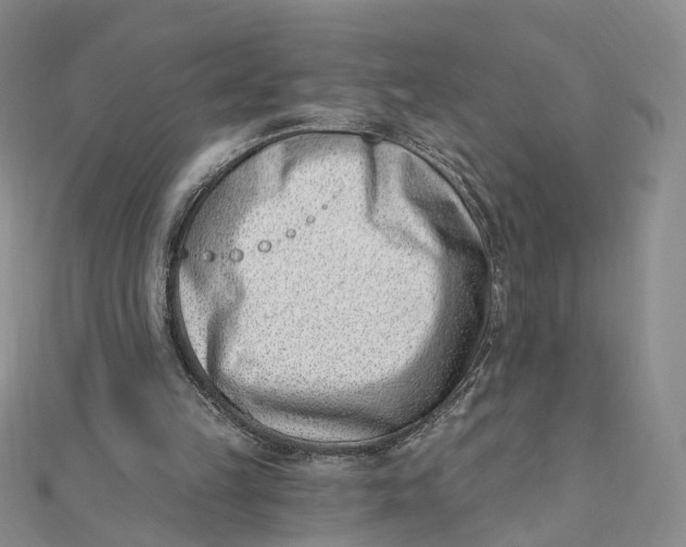 X0000112080149200908251113