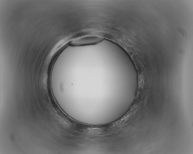 X0000112080150200908251113