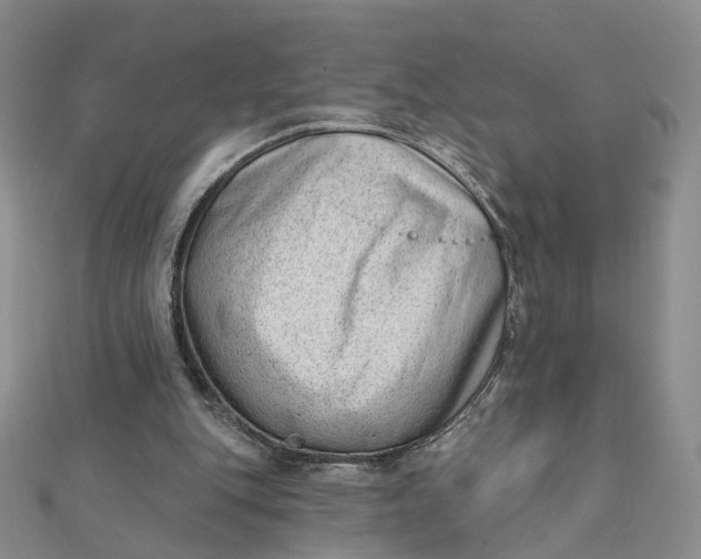 X0000112080151200908251113