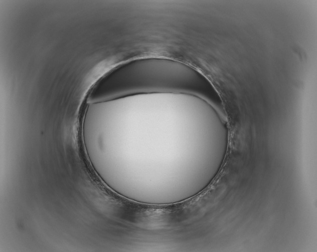 X0000112080152200908251113