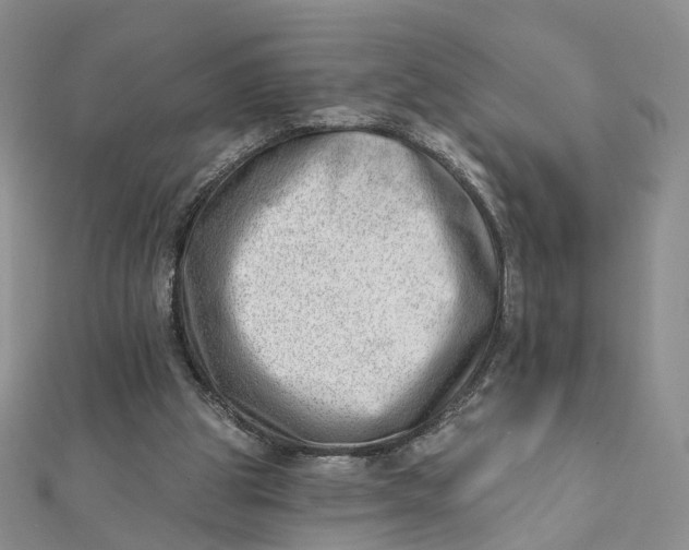 X0000112080153200908251113