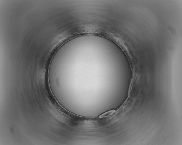 X0000112080154200908251113