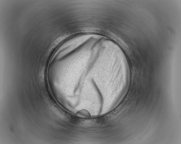 X0000112080155200908251113