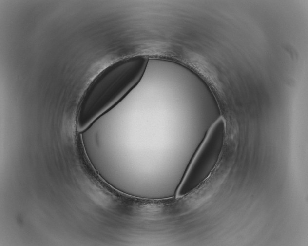 X0000112080156200908251113