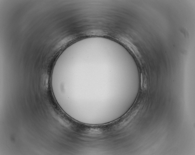 X0000112080157200908251113
