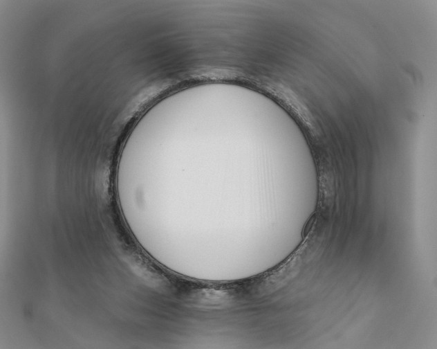 X0000112080159200908251113