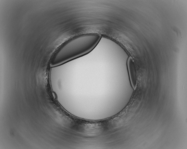 X0000112080160200908251113