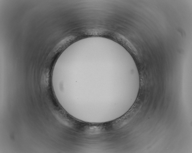 X0000112080163200908251113