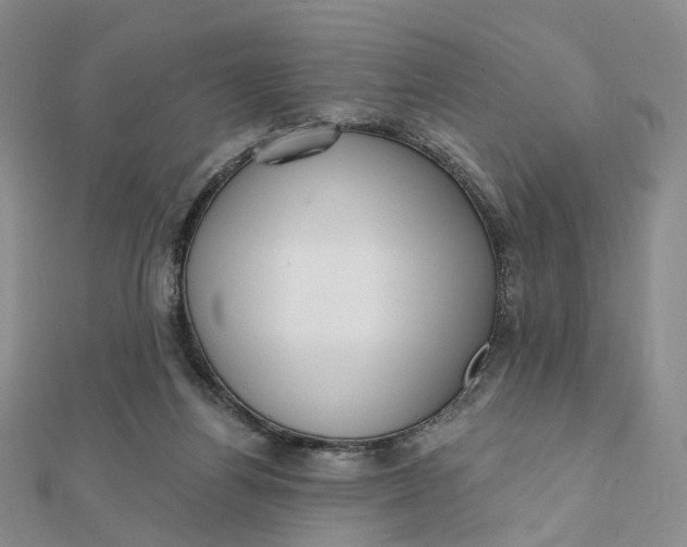 X0000112080164200908251113