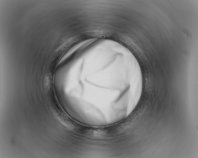 X0000112080165200908251113