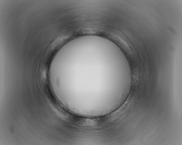 X0000112080166200908251113