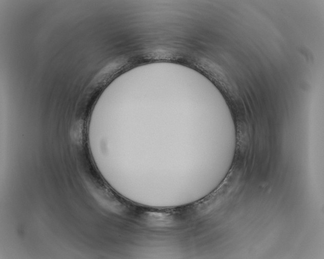 X0000112080167200908251113