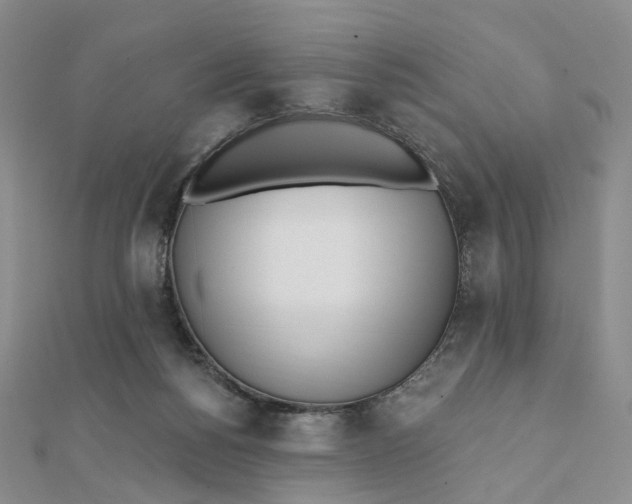 X0000112080168200908251113