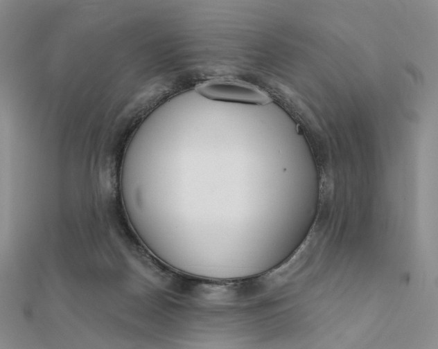 X0000112080170200908251113