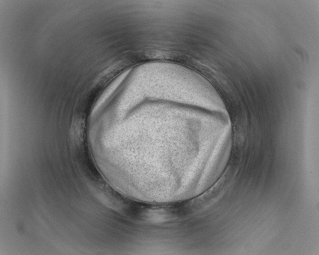 X0000112080171200908251113